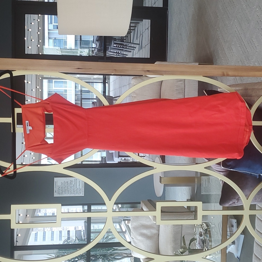 FashionNova dress
